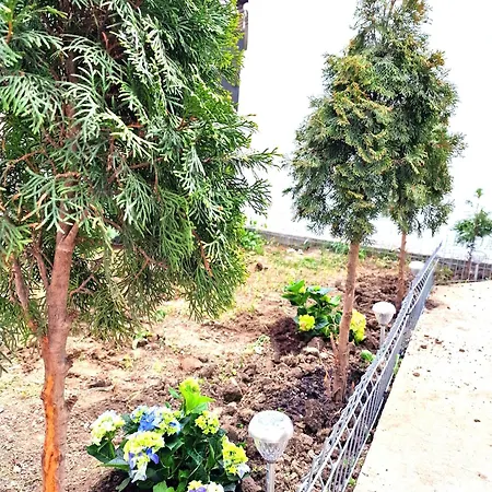 Appart hôtel Azzure 3*