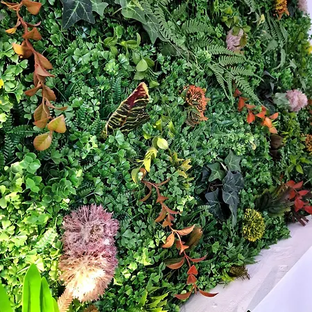 Appart hôtel Azzure Constanţa